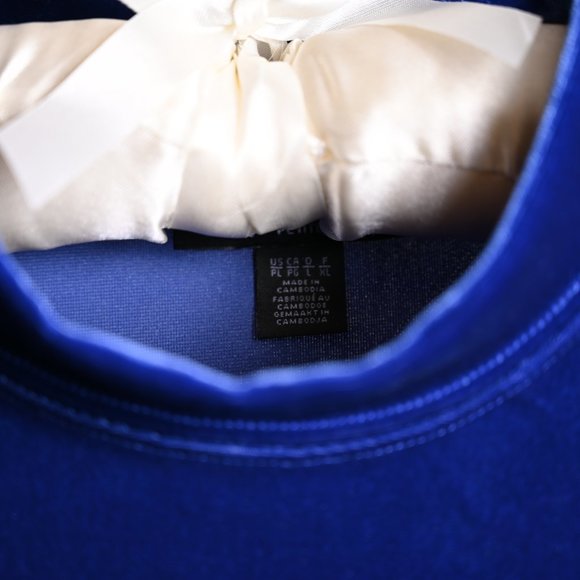💗HOST PICK💗 Blue Velvet Top with Mock Neck and Short Sleeves- Petite L - Picture 4 of 6